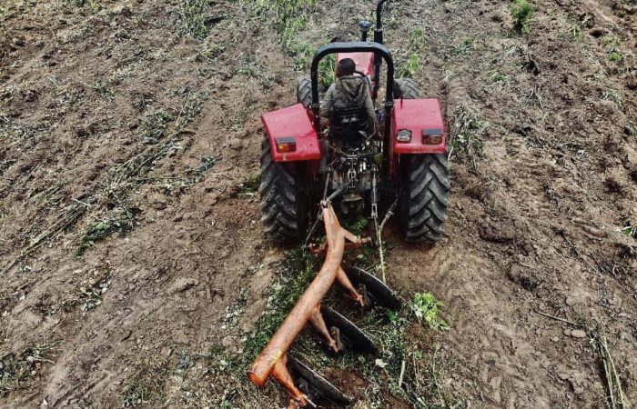 tractor with implement