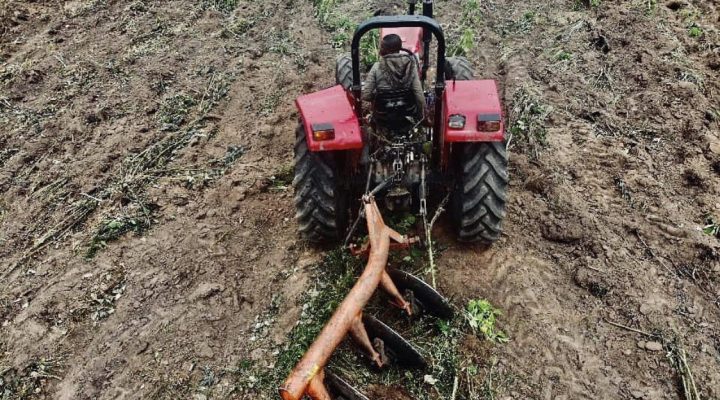 tractor with implement