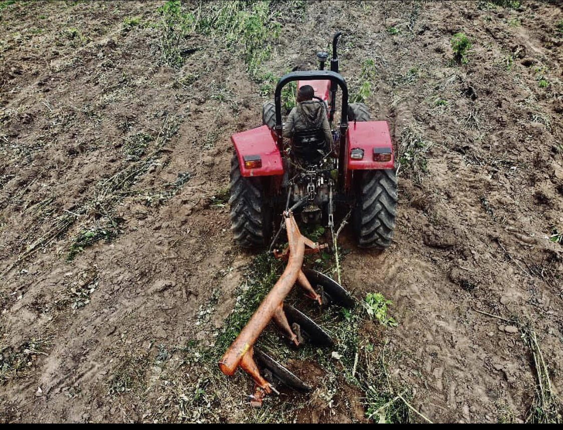 tractor with implement