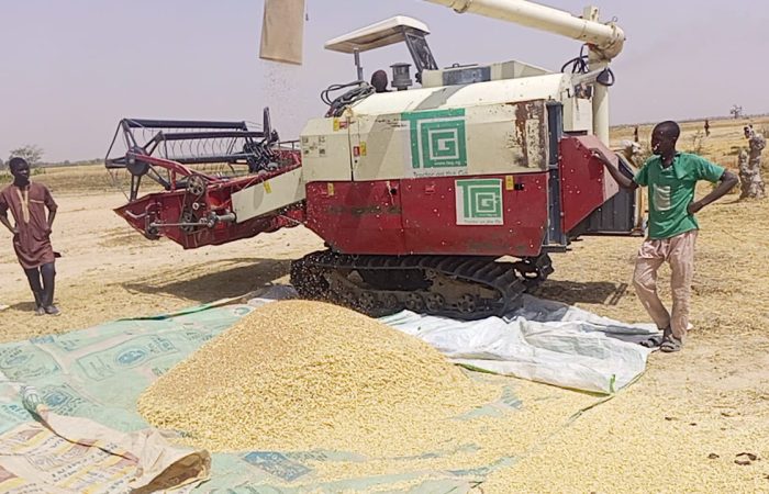 Combine harvester in field with wheat and young men